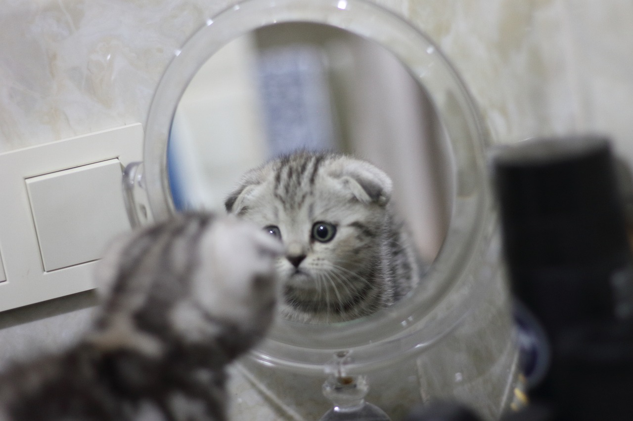 今すぐお問い合わせを！